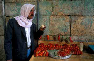 Erdal YAZICI