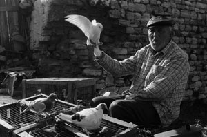 Erdal YAZICI