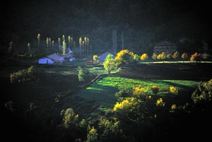 Kastamonu - Doanyurt
