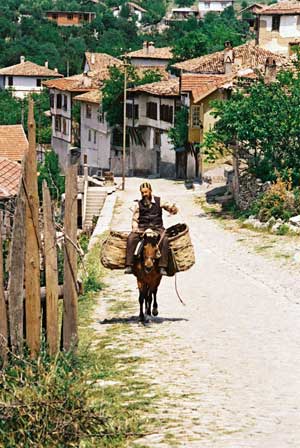 ALİ RIZA AKALIN