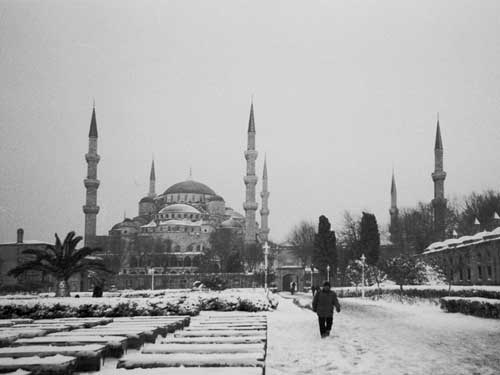 Aynur �ZG�L