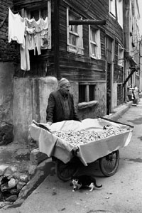 Erdal YAZICI