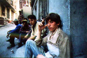 Selim GNE