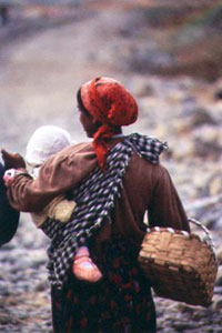 Selim GNE