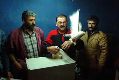 Fotograf : Faruk AKBA�