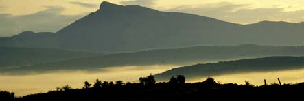 Dursunali SARIKOC
