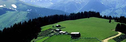 Dursunali SARIKOC