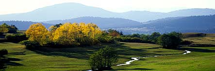Dursunali SARIKOC