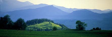 Dursunali SARIKOC