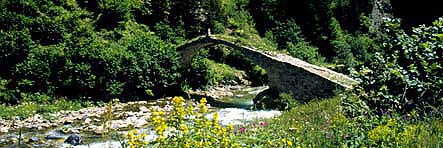 Dursunali SARIKOC