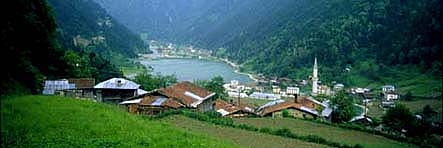Dursunali SARIKOC