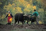 Kastamonu - Azdavay