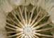 Tufan Kartal - Do�a'n�n Geometrisi